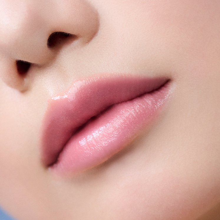 2025 ホリデーコフレ