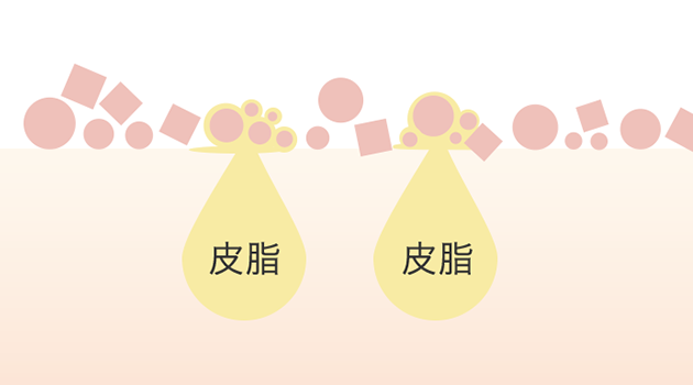 皮脂皮脂