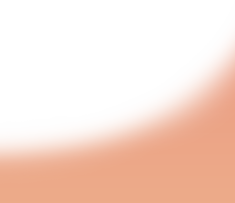 2026summerコレクションメイン画像